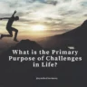 What-is-the-primary-purpose-of-Challenges-in-life